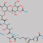 Bleomycin B2 CAS#: 9060-10-0