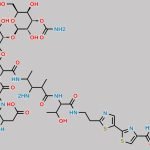 Bleomycin Impurity 1 CAS#: N/A