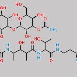 Bleomycin Impurity 4 CAS#: N/A
