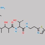 Bleomycin Impurity 5 CAS#: N/A