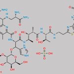 Bleomycin Sulfate CAS#: 9041-93-4