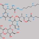 Bleomycin Sulfate EP Impurity B CAS#: N/A