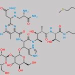 Bleomycin Sulfate EP Impurity D CAS#: N/A