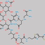 Bleomycinic Acid CAS#: 37364-66-2