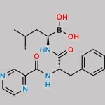Bortezomib CAS#: 179324-69-7