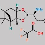Bortezomib Amino R Isomer (TFA salt) CAS#: 179324-87-9