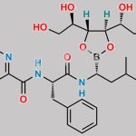 Bortezomib D-Mannitol Ester CAS#: 444576-08-3