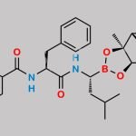 Bortezomib Impurity 14 CAS#: 205393-22-2