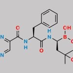 Bortezomib Impurity 17 CAS#: N/A