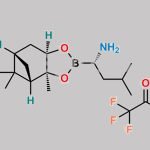 Bortezomib Impurity 42 CAS#: 477254-69-6