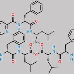 Bortezomib Impurity 48 CAS#: N/A