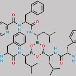Bortezomib Impurity 49 CAS#: N/A