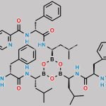 Bortezomib Impurity 50 CAS#: N/A