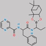Bortezomib Impurity 51 CAS#: N/A