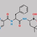 Bortezomib Impurity 6 CAS#: N/A