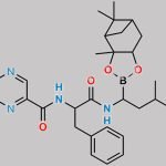 Bortezomib Impurity 69 CAS#: N/A