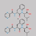 Bortezomib Impurity 70 CAS#: N/A