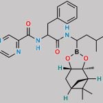 Bortezomib Impurity 79 CAS#: N/A