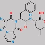 Bortezomib Impurity 8 CAS#: N/A