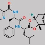 Bortezomib Isoamyl Impurity CAS#: 1375004-39-9