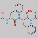Bortezomib Related Compound P CAS#: N/A