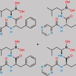 Bortezomib Stereo Isomers Mixture CAS#: N/A