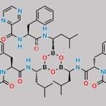 Bortezomib Trimer CAS#: 390800-88-1