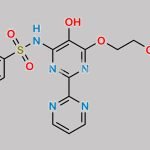 Bosentan Impurity 1 CAS#: 1257099-41-4