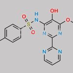 Bosentan Impurity 2 CAS#: 1257099-42-5