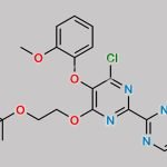 Bosentan Impurity 9 CAS#: 1177447-87-8