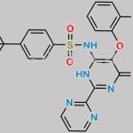 Bosentan USP Related Compound B CAS#: 174227-14-6