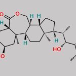 Brassinolide CAS#: 72962-43-7