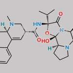 Bromocriptine 2-Methylbutyl Analogue CAS#: 157135-98-3