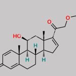 Budesonide 1,4,16-Triene Impurity CAS#: 3044-42-6