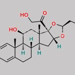 Budesonide (22S)-Isomer CAS#: 51372-28-2