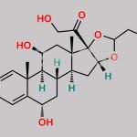 Budesonide 6-Alpha-Hydroxy Impurity CAS#: 577777-51-6