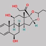 Budesonide 6-Beta-Hydroxy Impurity CAS#: 88411-77-2