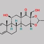 Budesonide EP Impurity C CAS#: 1040085-99-1