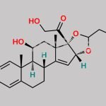 Budesonide EP Impurity E CAS#: 131918-64-4