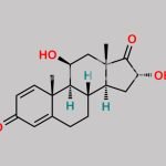 Budesonide Impurity CAS#: 910299-74-0