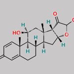 Budesonide Impurity 4 CAS#: 77017-17-5