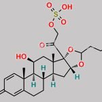 Budesonide Sulfate CAS#: N/A