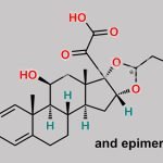 Budesonide Pyruvic Acid Analog (USP) CAS#: N/A