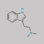 Bufotenine Impurity 2 CAS#: 61-50-7