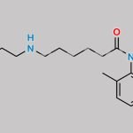 Bupivacaine EP Impurity E CAS#: 1330172-81-0
