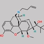 Buprenorphine EP Impurity A CAS#: 457071-73-7