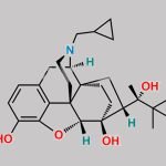 Buprenorphine EP Impurity E CAS#: 130668-48-3