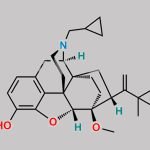 Buprenorphine EP Impurity F CAS#: 97203-04-8