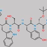 Buserelin CAS#: 57982-77-1