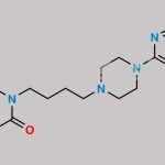 Buspirone 5-Hydroxy Metabolite CAS#: 105496-33-1